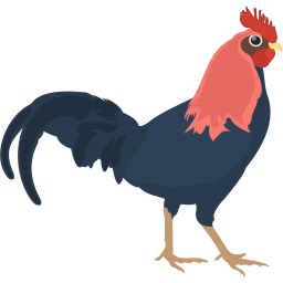 menu sabung ayam